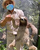 Summit Rainforest & Golf Resort