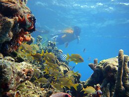 Hotel San Pedro de Majagua