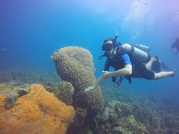 Hotel San Pedro de Majagua