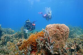 Hotel San Pedro de Majagua