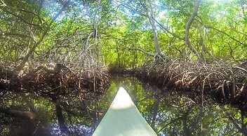 Hotel San Pedro de Majagua