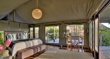 HillsNek Safari Camp - Amakhala Game Reserve