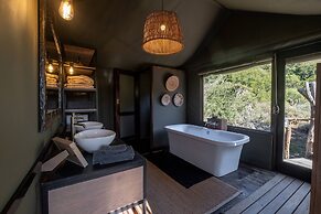 HillsNek Safari Camp - Amakhala Game Reserve