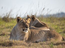 HillsNek Safari Camp - Amakhala Game Reserve