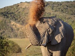 HillsNek Safari Camp - Amakhala Game Reserve