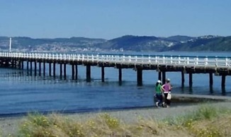 83 By the Sea Motor Lodge