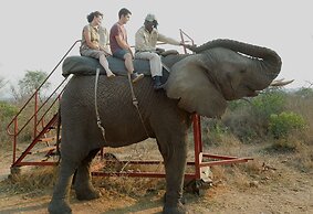 Trees Too Guest Lodge