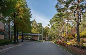 Mayfield Hotel Seoul