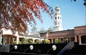 Mayfield Hotel Seoul