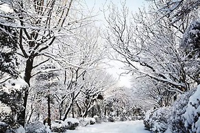 Mayfield Hotel Seoul