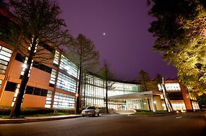 Mayfield Hotel Seoul