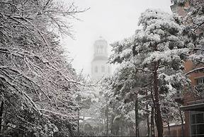 Mayfield Hotel Seoul