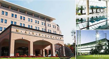 Mayfield Hotel Seoul