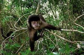 La Reserva Virgin Lodge