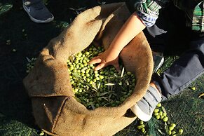 The Romanos, a Luxury Collection Resort, Costa Navarino