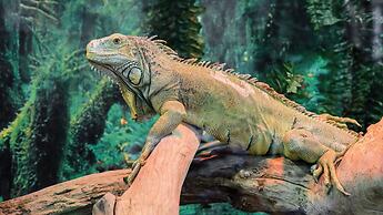 Holiday Inn Santo Domingo by IHG