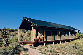 Buffelsdrift Game Lodge