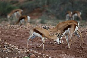 Buffelsdrift Game Lodge
