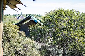 Buffelsdrift Game Lodge