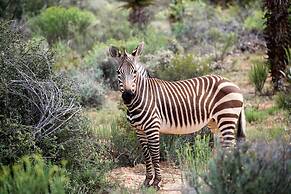 Buffelsdrift Game Lodge