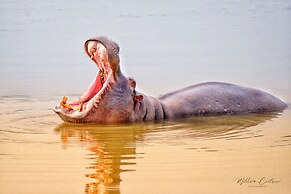 Buffelsdrift Game Lodge