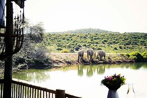 Buffelsdrift Game Lodge