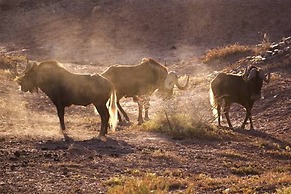 Buffelsdrift Game Lodge