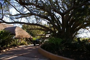 Inkwenkwezi Private Game Reserve
