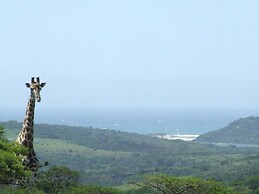 Inkwenkwezi Private Game Reserve