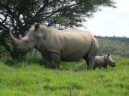 Inkwenkwezi Private Game Reserve