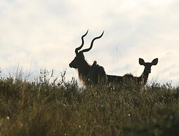 Inkwenkwezi Private Game Reserve