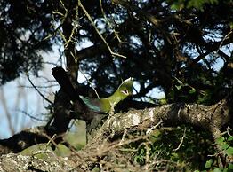 Inkwenkwezi Private Game Reserve