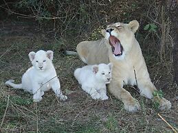 Inkwenkwezi Private Game Reserve