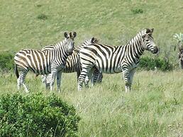 Inkwenkwezi Private Game Reserve