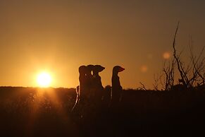 De Zeekoe Guest Farm