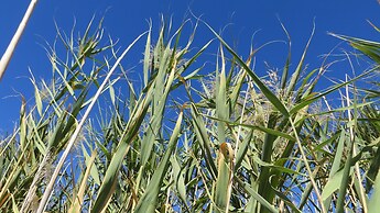 De Zeekoe Guest Farm