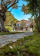 Alacati Zeytin Konak Hotel