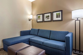 Comfort Suites Florence I-95