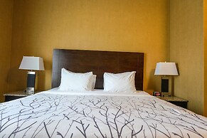 Best Western Plus South Edmonton Inn & Suites