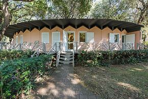 Hotel Riva degli Etruschi