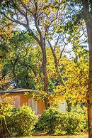 Hotel Riva degli Etruschi