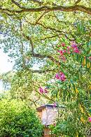 Hotel Riva degli Etruschi