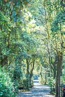 Hotel Riva degli Etruschi