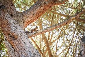 Hotel Riva degli Etruschi