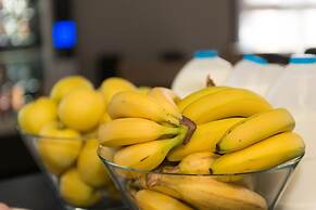 The Times Hostel - College Street