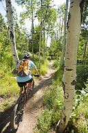 Hyatt Centric Park City