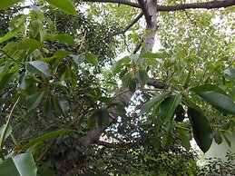 Villa Verde - Special Class