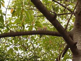 Villa Verde - Special Class