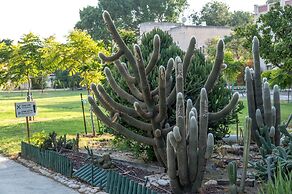 Degania B Country lodging