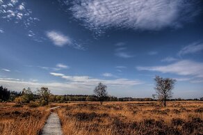 Domaine des Hautes Fagnes